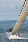 warrior gbr1429l whyw16 sun 800 0918w